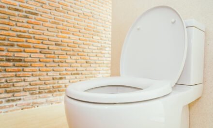 Jak Samodzielnie Naprawić Siłownik Deski Wolnoopadającej?